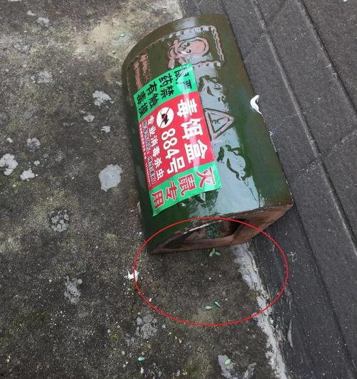 娱乐吃瓜酱灭鼠,揭秘灭鼠背后的趣味故事