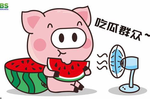 娱乐吃瓜英文,娱乐八卦的跨文化解读
