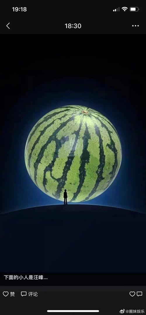 娱乐吃瓜英文,娱乐八卦的跨文化解读