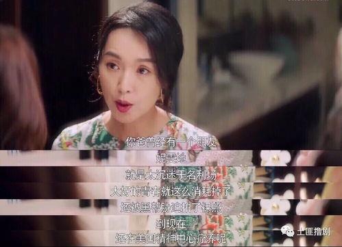 娱乐吃瓜剧说,从吃瓜剧看幕后真相与名利场风云