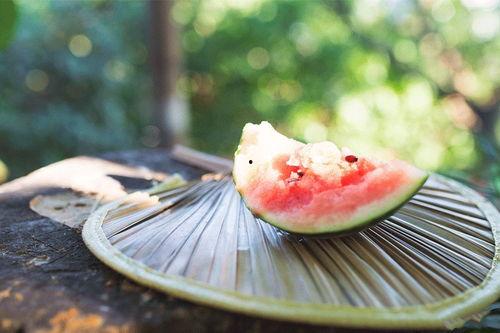 娱乐吃瓜入口,吃瓜群众如何轻松成为热门话题制造者