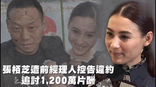 话说娱乐吃瓜仔,揭秘娱乐圈幕后故事与八卦风云