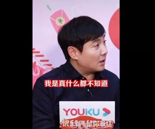 吃瓜娱乐小能手,揭秘娱乐圈幕后故事与热点动态