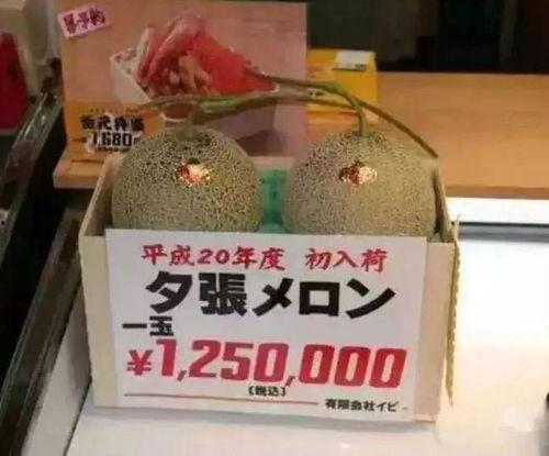 娱乐区吃大瓜,精彩回顾与未来展望