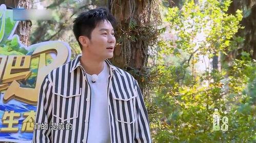 娱乐吃瓜郑恺,娱乐圈的“吃瓜”达人，揭秘明星幕后故事