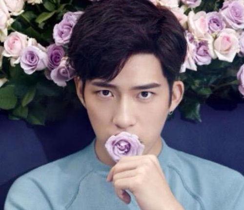 娱乐圈男明星吃瓜语录,揭秘明星圈内的“瓜界风云”
