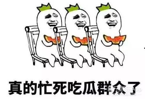 说娱乐吃瓜,揭秘明星们的“吃瓜”生活