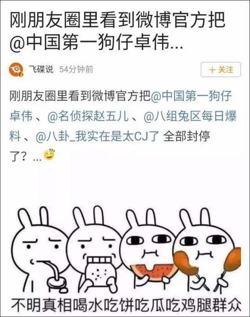 娱乐时间到吃瓜,揭秘娱乐圈那些事儿