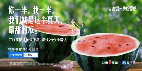 娱乐吃瓜群文案,吃瓜群背后的故事与真相