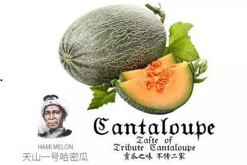 吃瓜的娱乐号,吃瓜群众视角下的明星幕后故事