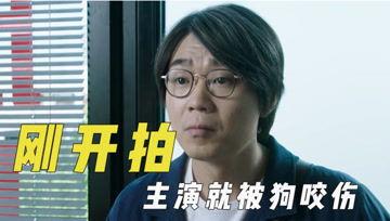 aaaaa娱乐吃瓜君,娱乐圈幕后风云大揭秘