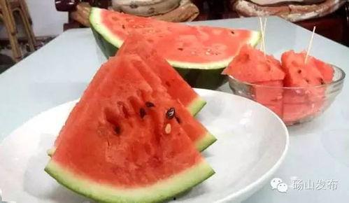 砀山吃瓜娱乐,一场别开生面的吃瓜娱乐盛宴